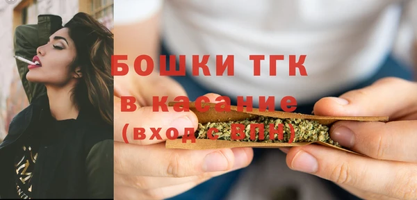 винт Анива