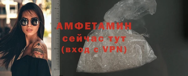 гашик Михайлов