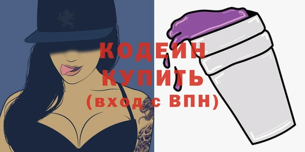 дмт Елизово