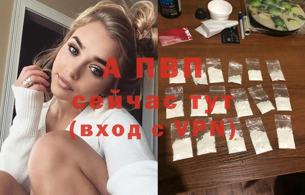 крисы Богданович