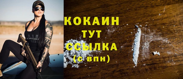 гидра Михайловка
