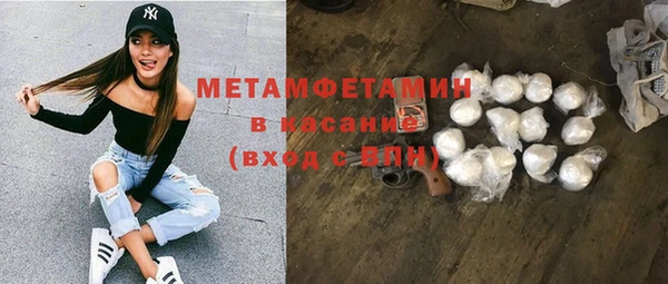гидра Михайловка