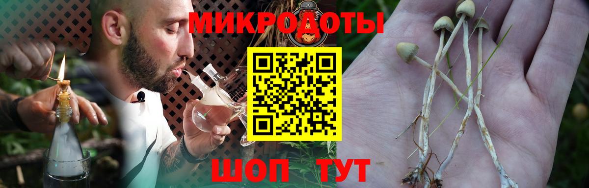 Галлюциногенные грибы Cubensis Еманжелинск
